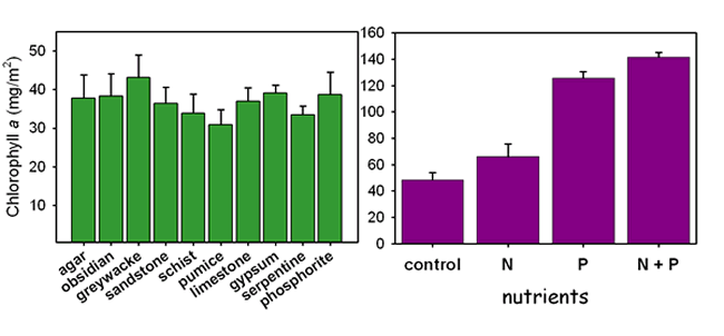 graphs of algal biolmass with rock type and nutrient additions 